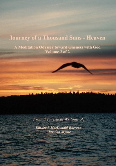 book cover of Journey of a Thousand Suns II
